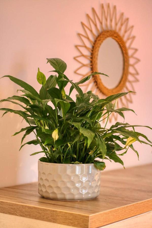 Apartment Inspiration Station: Cozy With Smart Thermostat Near Ior Park *